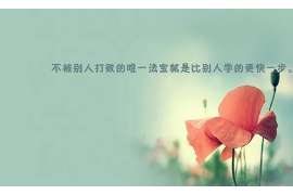 城东资产调查